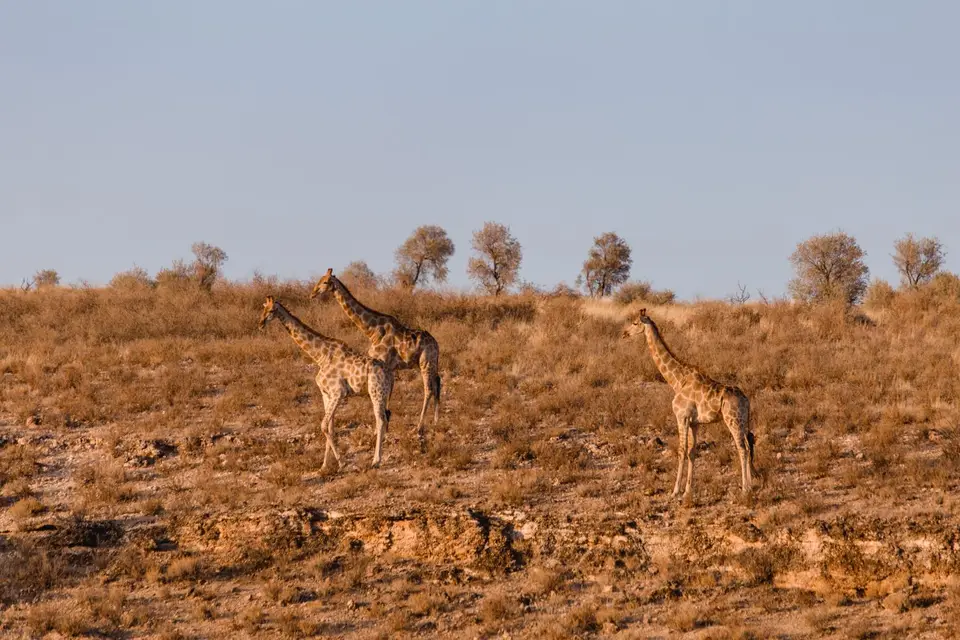 Namibia-88.jpg
