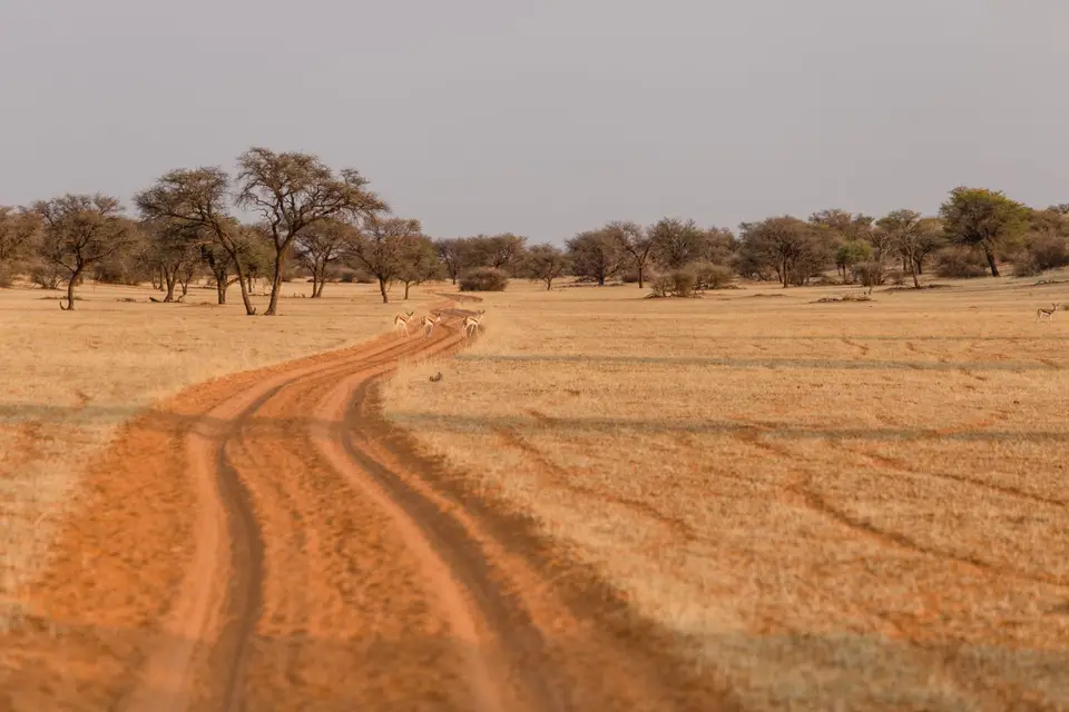 Namibia-9.jpg