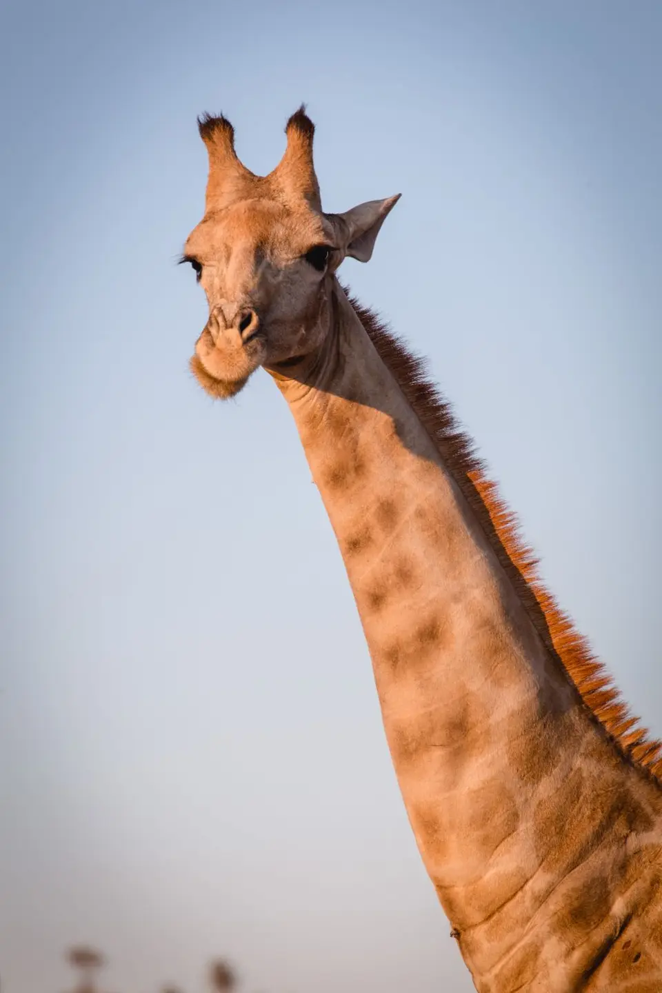Namibia-90.jpg