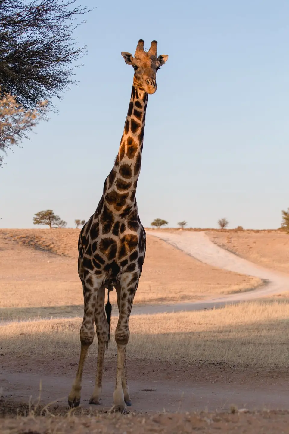 Namibia-91(0).jpg
