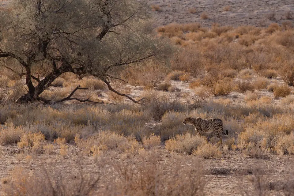 Namibia-98.jpg