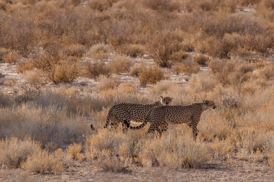 Namibia-99.jpg