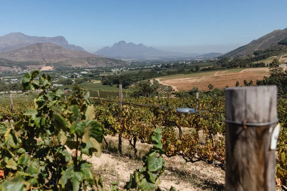 Südafrika-169.jpg