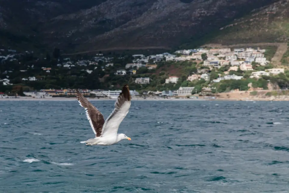 Südafrika-23.jpg