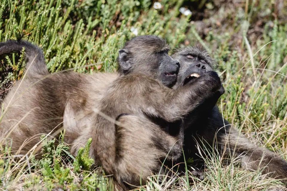 Südafrika-54.jpg