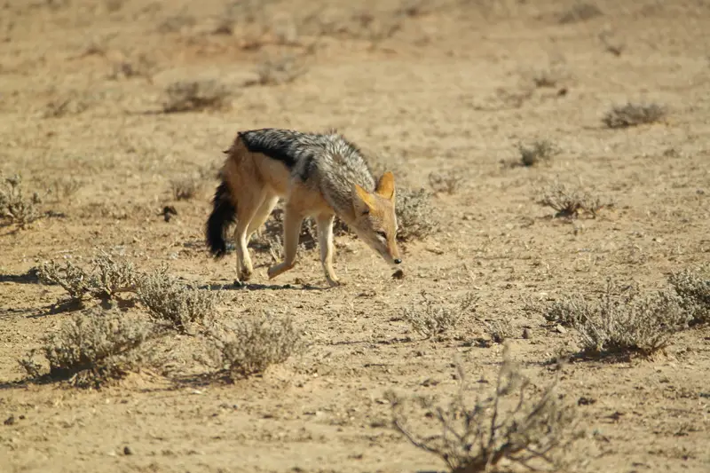 hc126d72.jpg