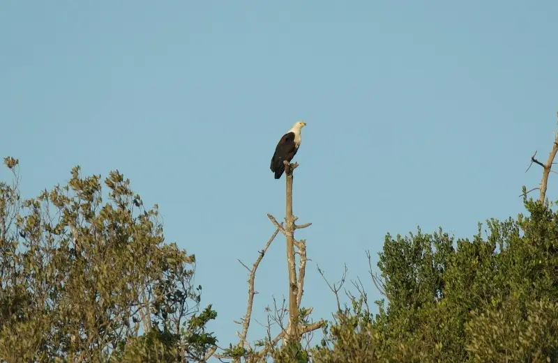 he55c47e.JPG