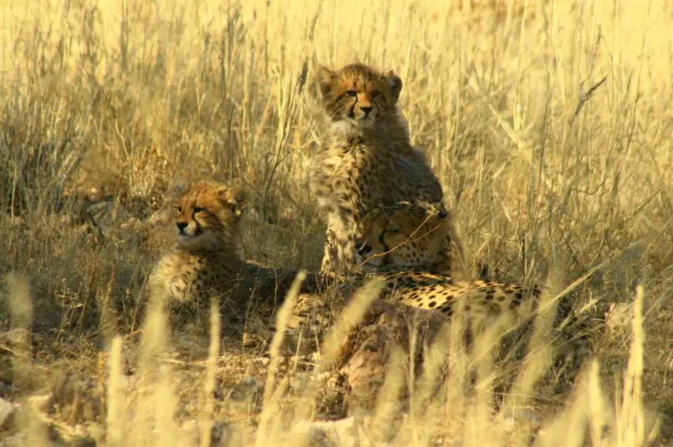 Namibia-Sdafrika-BOT-NAm2009099.jpg