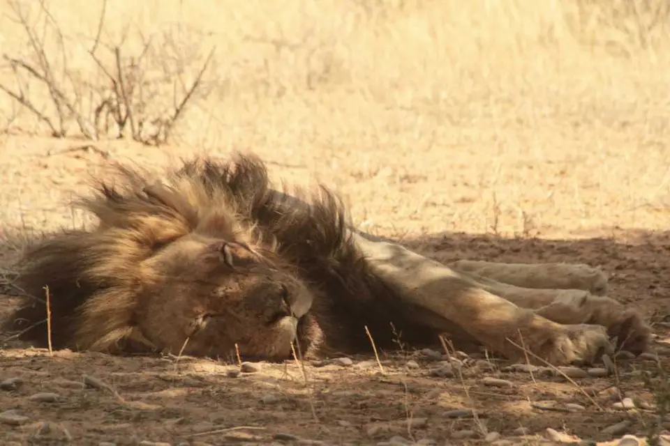 Namibia-Sdafrika-BOT-NAm2009186.jpg