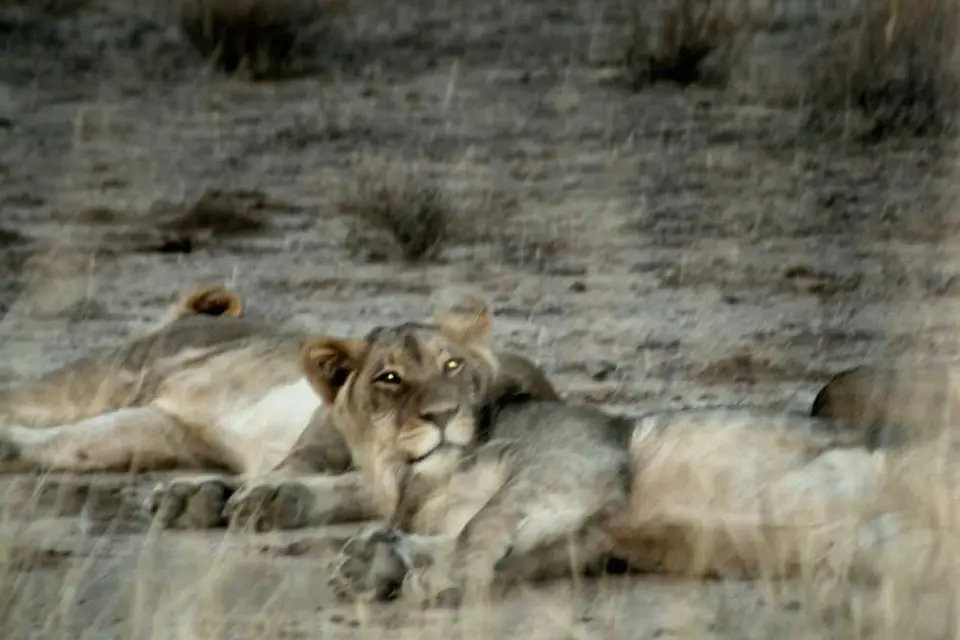 Namibia-Sdafrika-BOT-NAm2009228.jpg