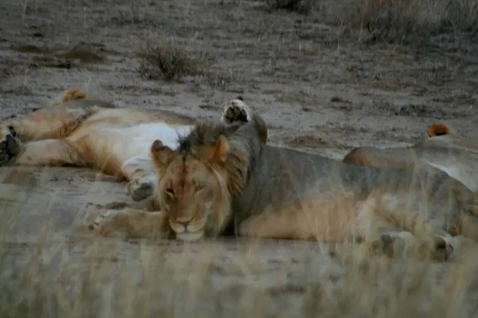Namibia-Sdafrika-BOT-NAm2009230.jpg