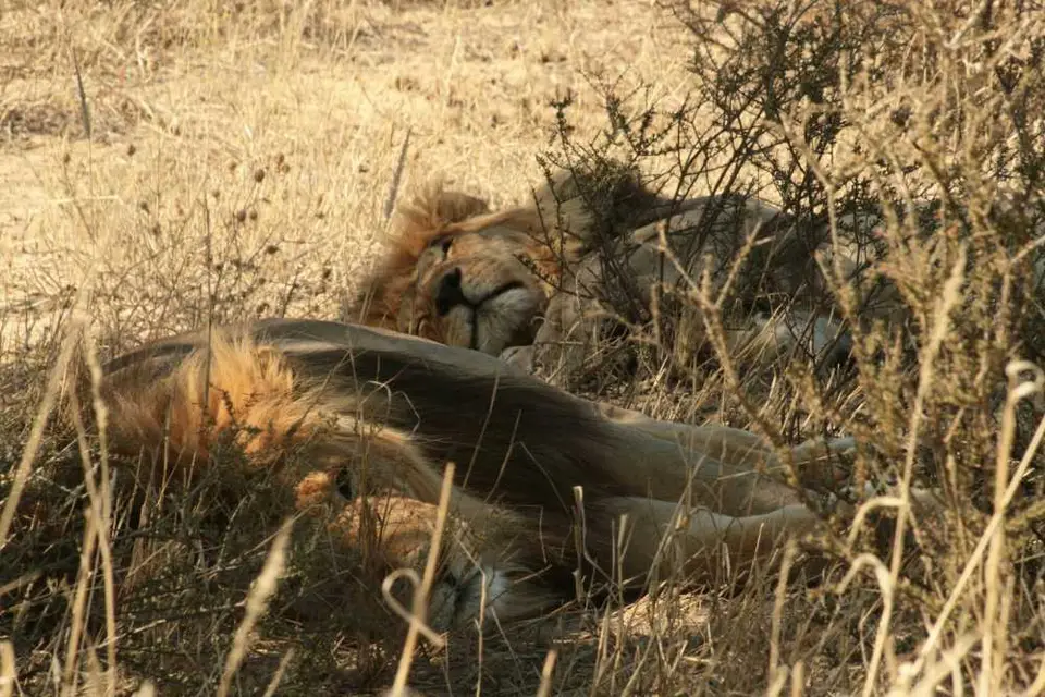 Namibia-Sdafrika-BOT-NAm2009269.jpg