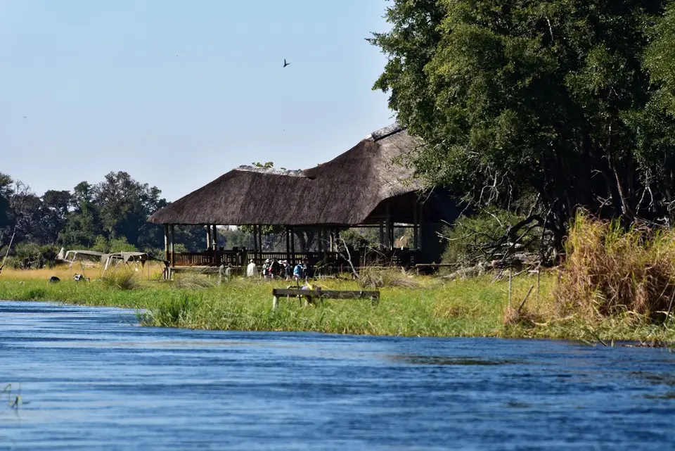 Moremi.jpg