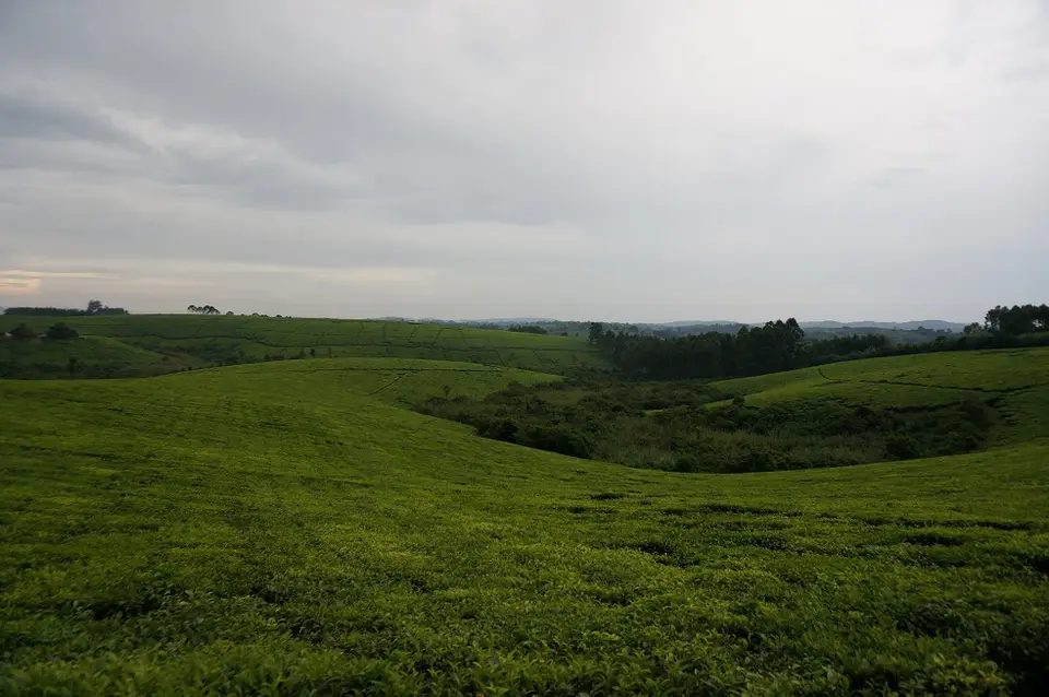 hcddca05.jpg