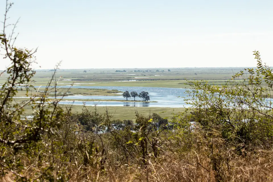 h5423077.jpg