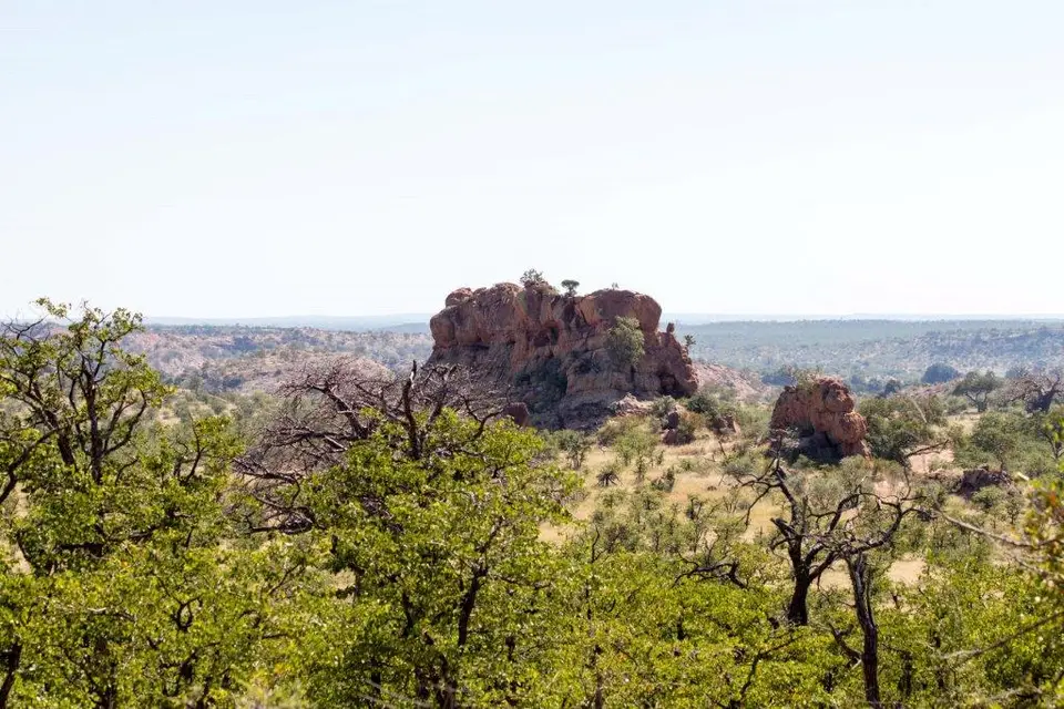 h7184824.jpg
