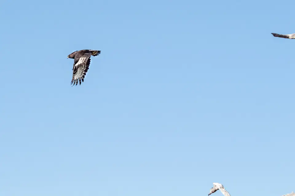 h753a55b_2014-10-05.jpg