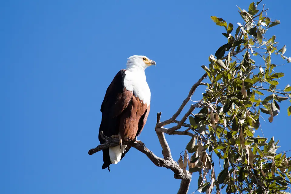 hc1b7255_2014-10-12.jpg