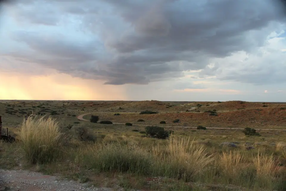 h4116856.JPG
