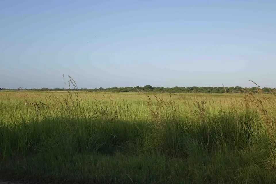 h509179c.jpg
