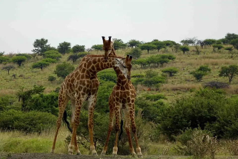 hceb9cfb.jpg