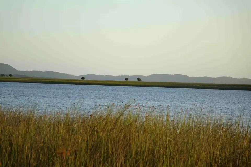 hd3e1252.jpg