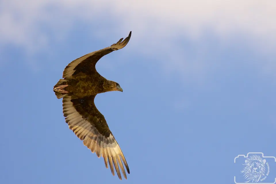 h2498f47_2015-10-07.jpg