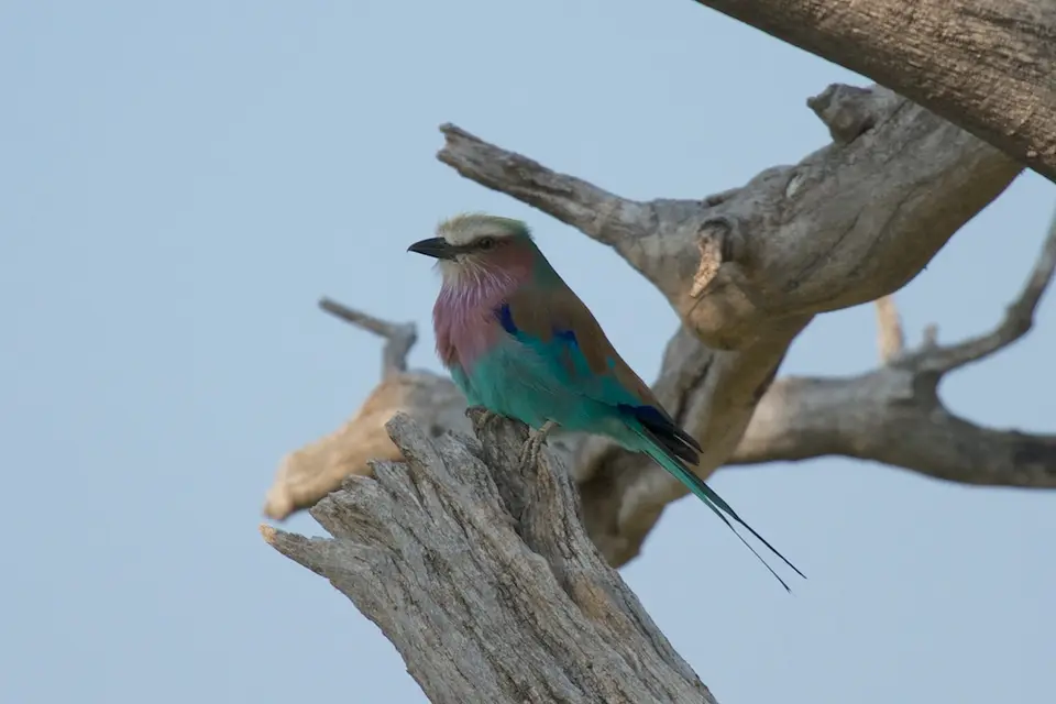 h2e7baa3_2014-11-04.jpg