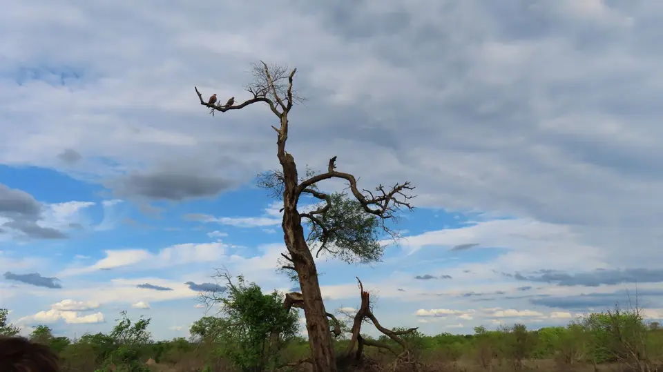 IMG_2116.JPG