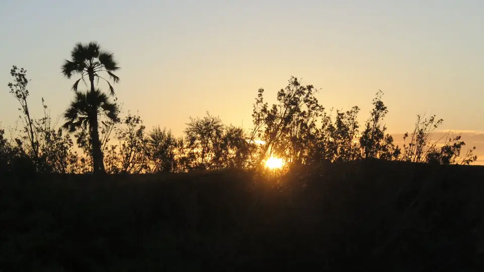 IMG_7493.JPG