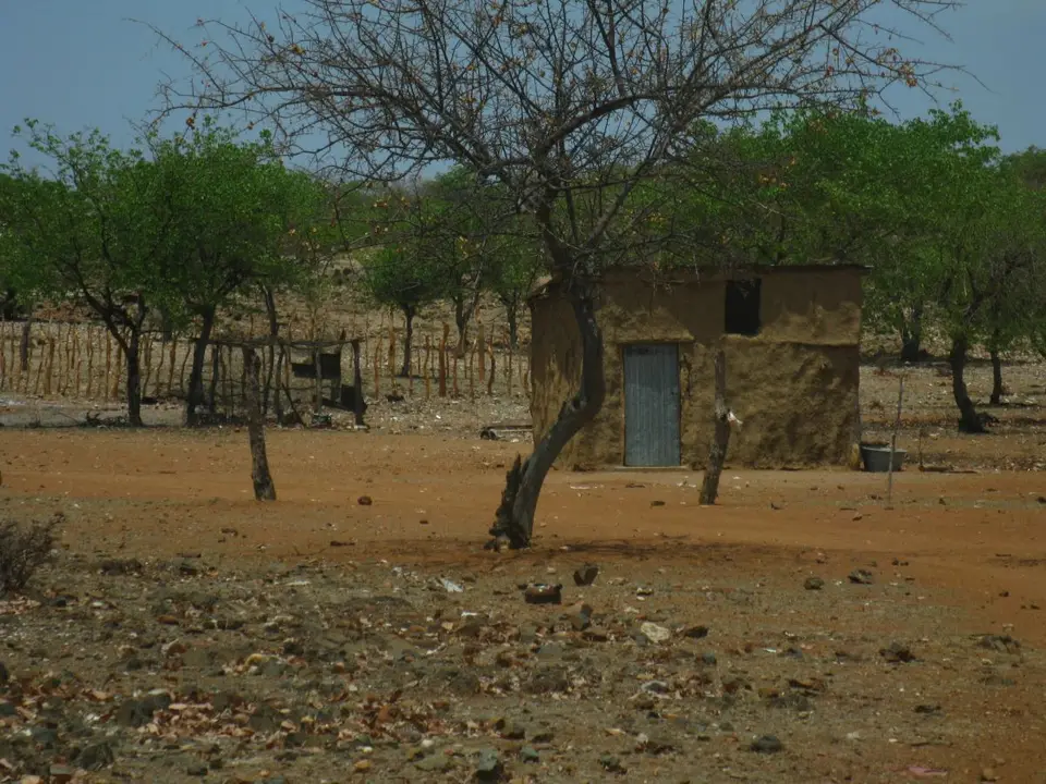 h07d9cc0.JPG