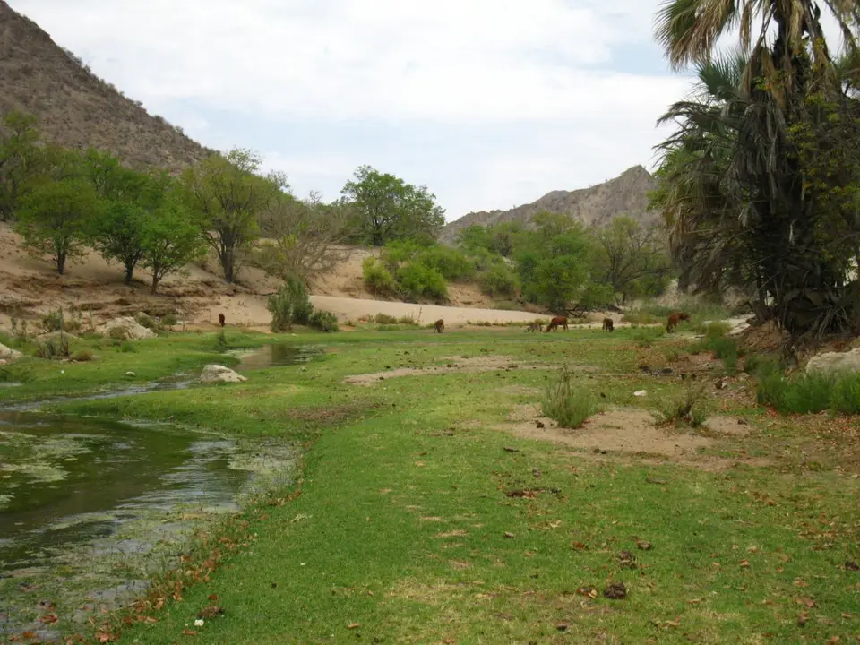 haba208f.JPG