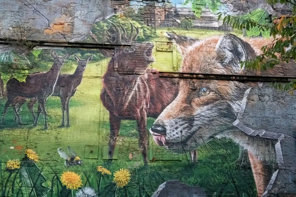 2024-10-12-13-28-00-A6708483.JPG