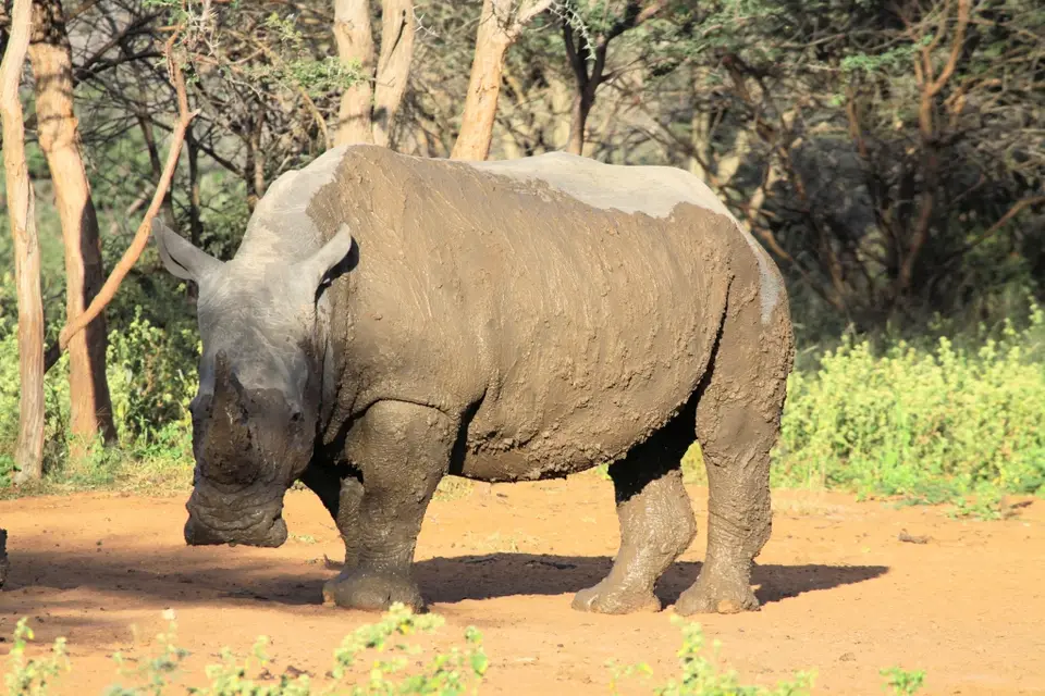 hc6a2869.jpg