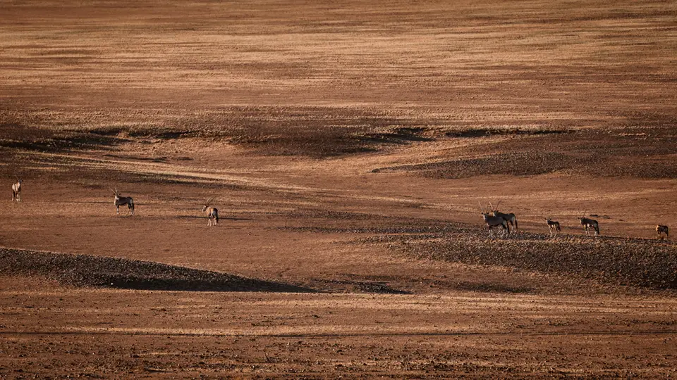 namibia_2018-1187.jpg