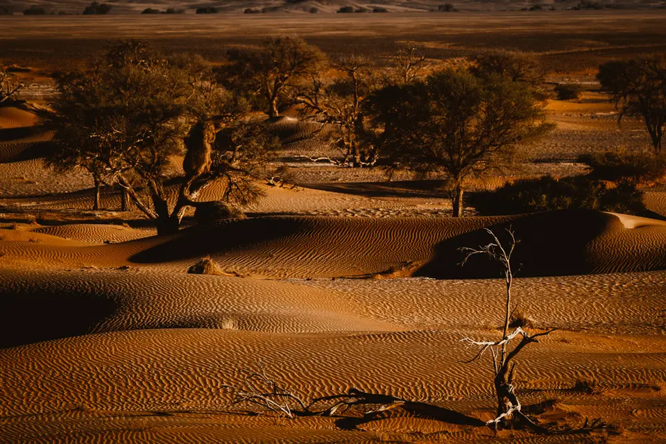 namibia_2018-1216.jpg