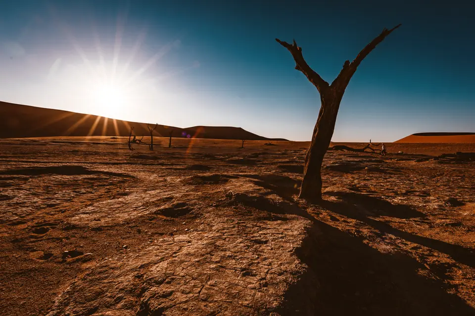 namibia_2018-1938.jpg