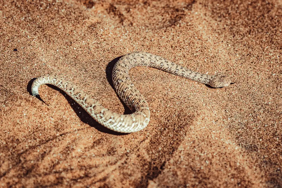 namibia_2018-2495.jpg