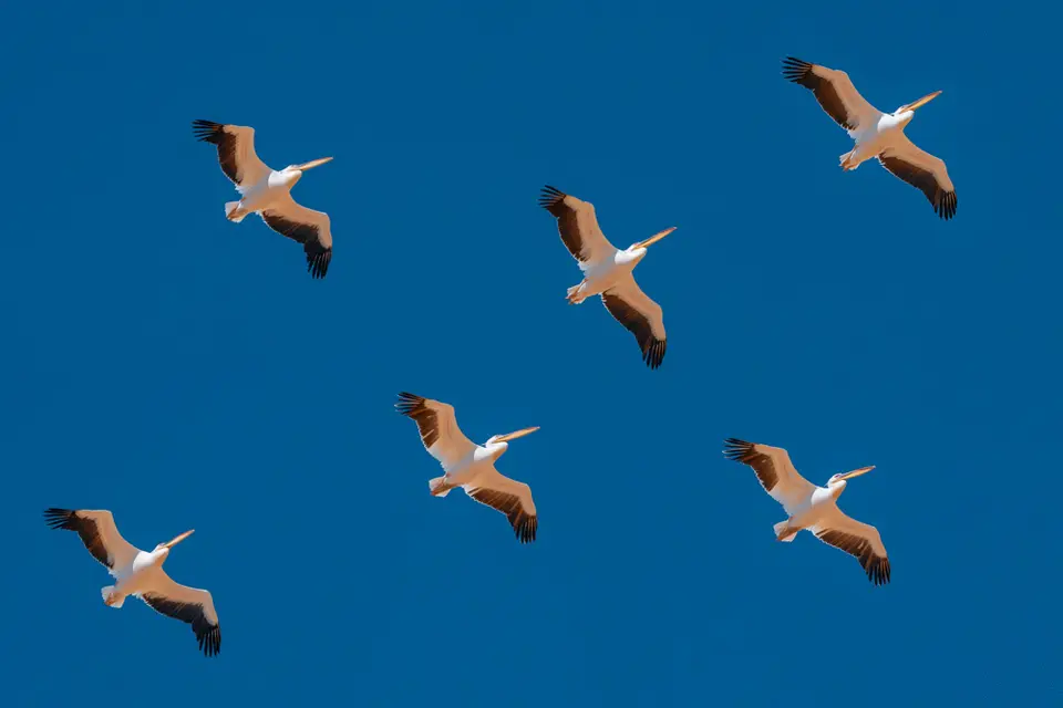 namibia_2018-2821.jpg