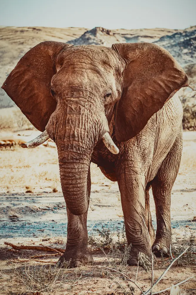 namibia_2018-4072.jpg
