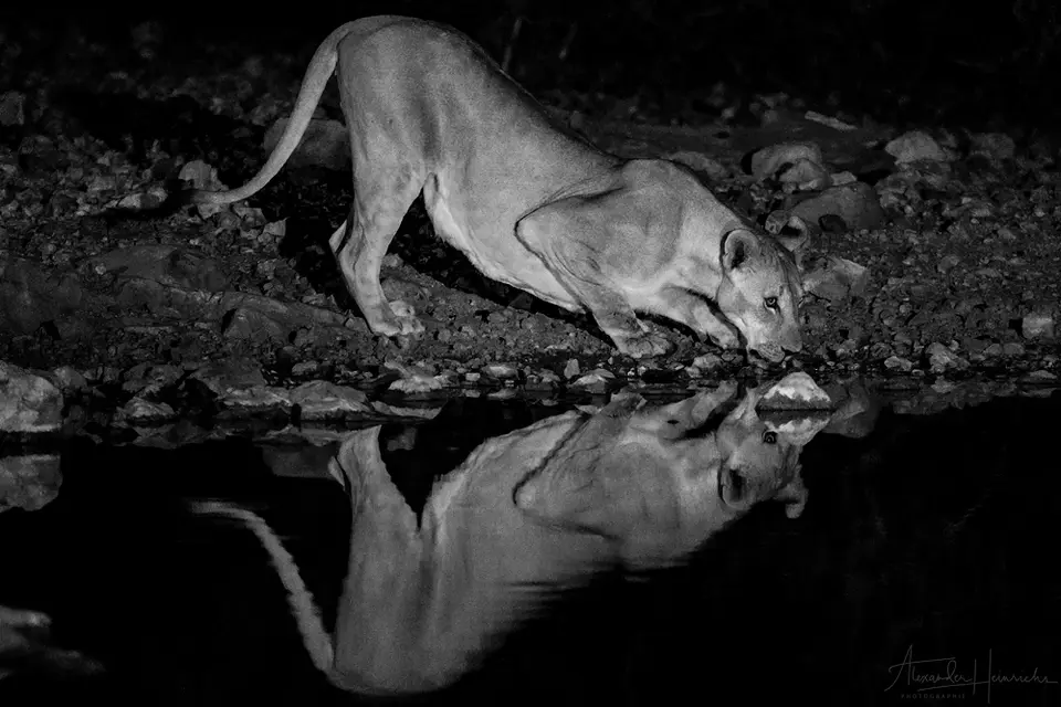 namibia_2018-4828.png