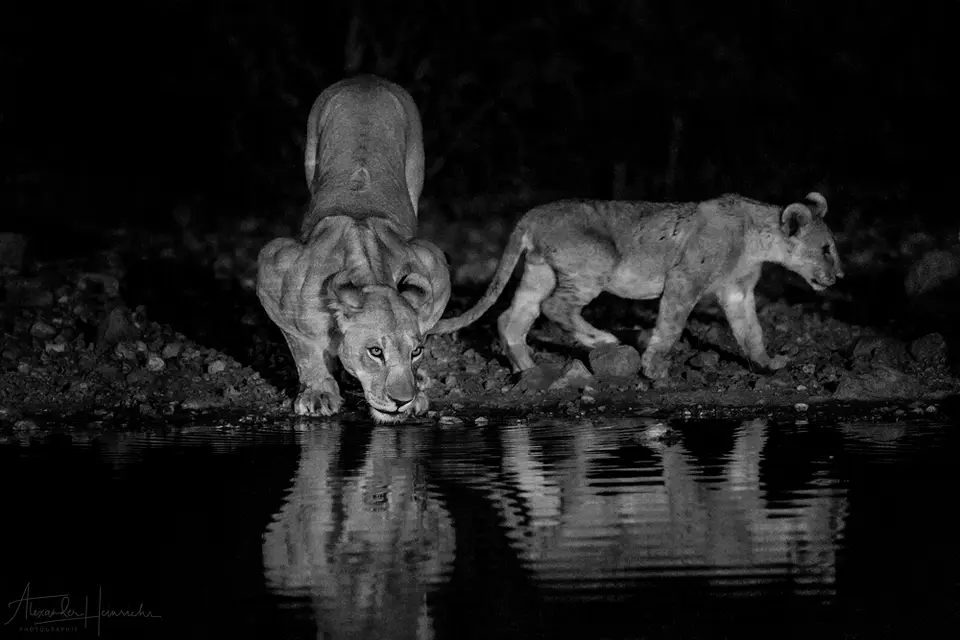 namibia_2018-4836.png