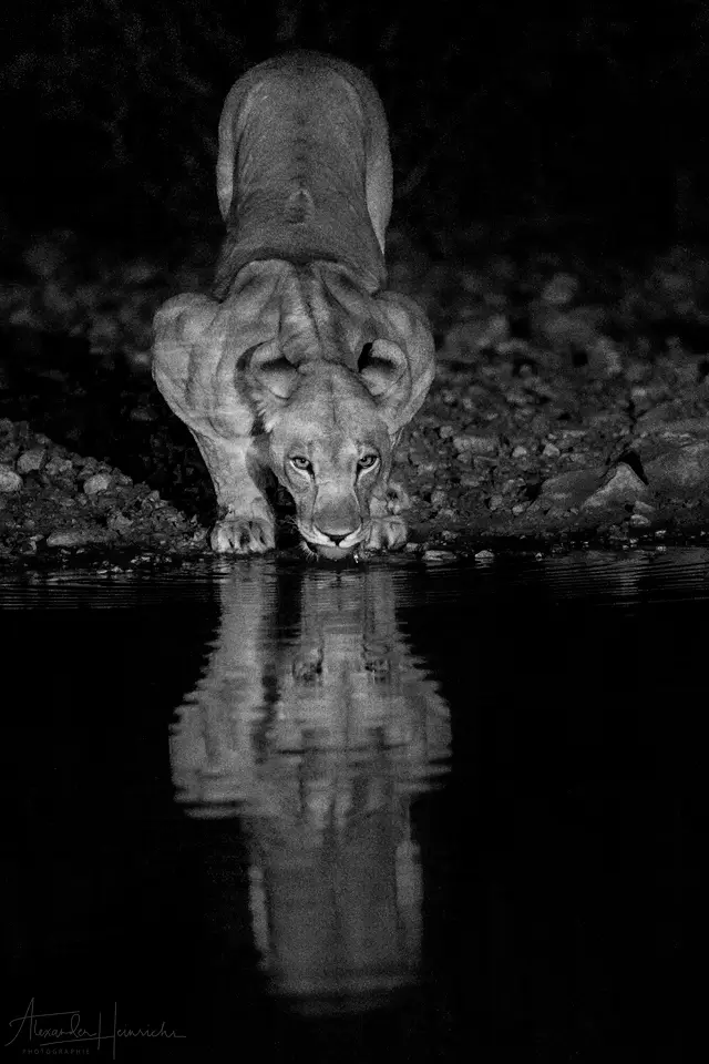 namibia_2018-4837.png