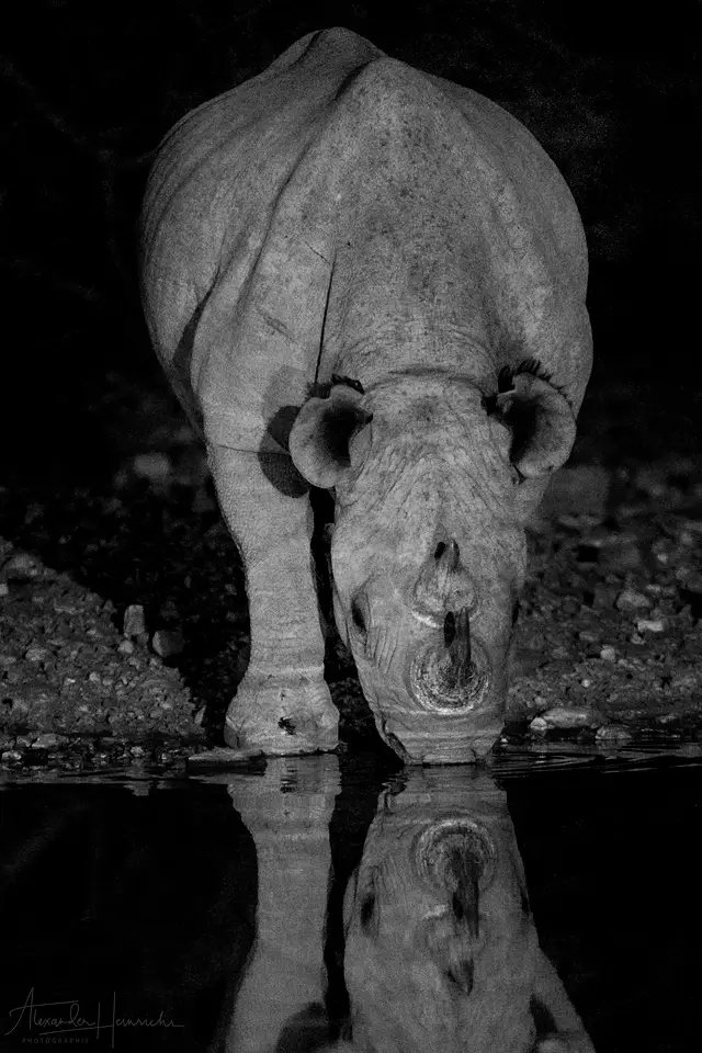 namibia_2018-4857.png