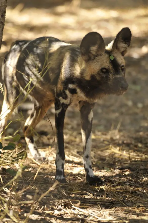 h25e968c.JPG