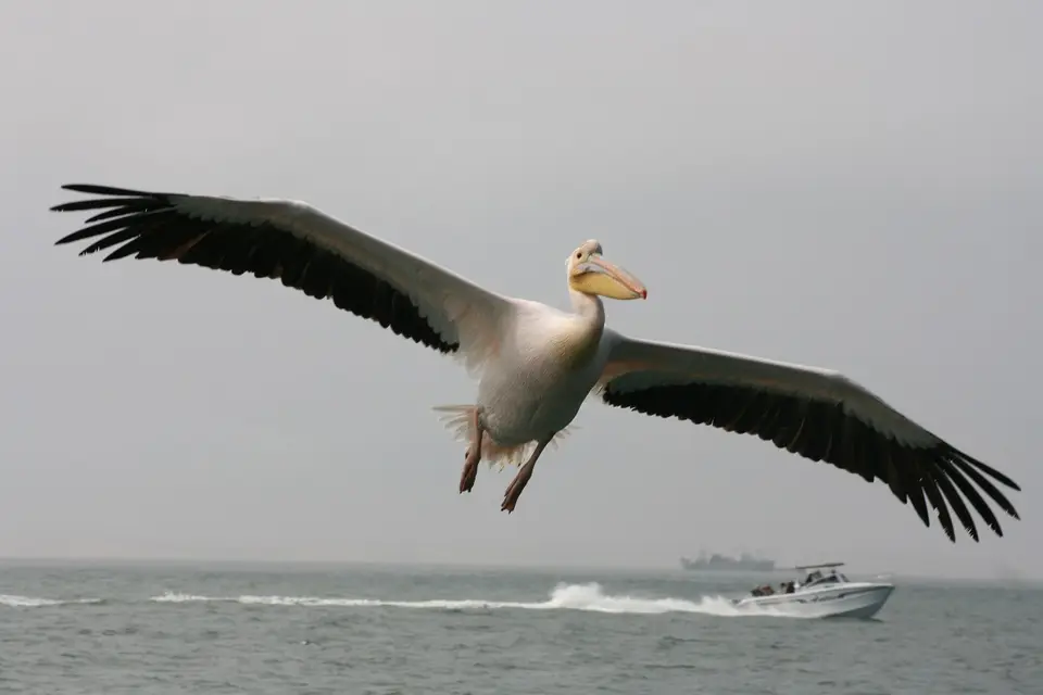 h3df6811.jpg