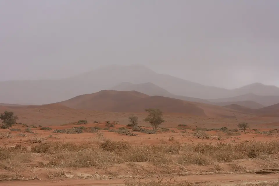 h5e974e2.jpg