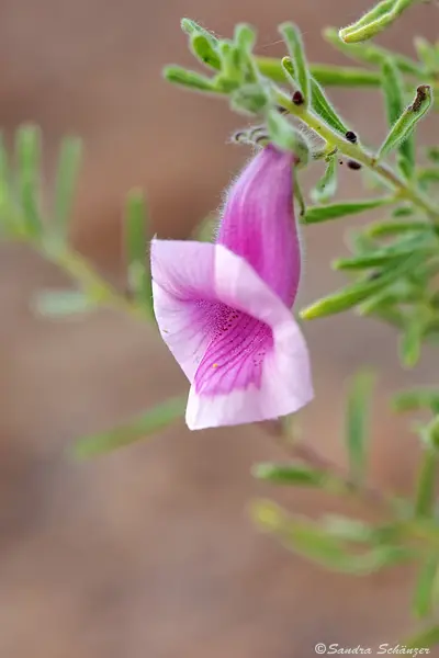 namab20110510036.jpg