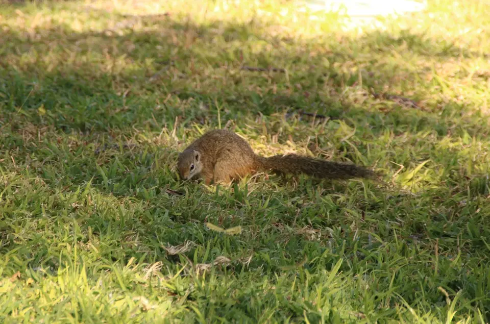 IMG_1113.jpeg