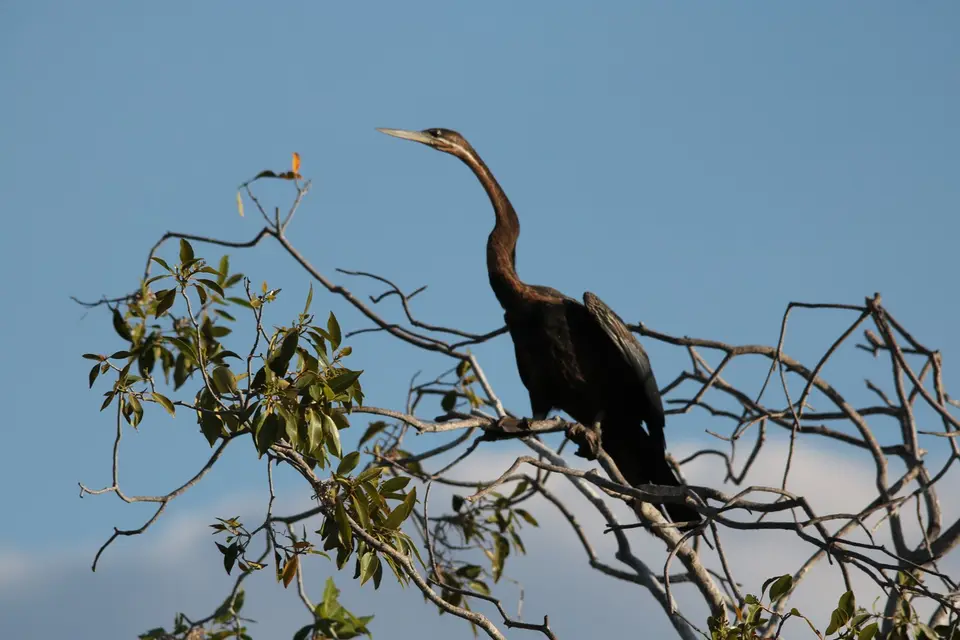 IMG_1345.jpeg